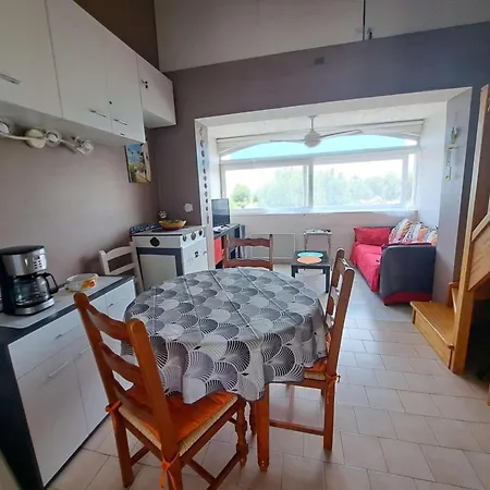 Appartement Avec Mezzanine, Parking Prive - Marseillan-plage - Fr-1-326-866 *